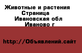  Животные и растения - Страница 3 . Ивановская обл.,Иваново г.